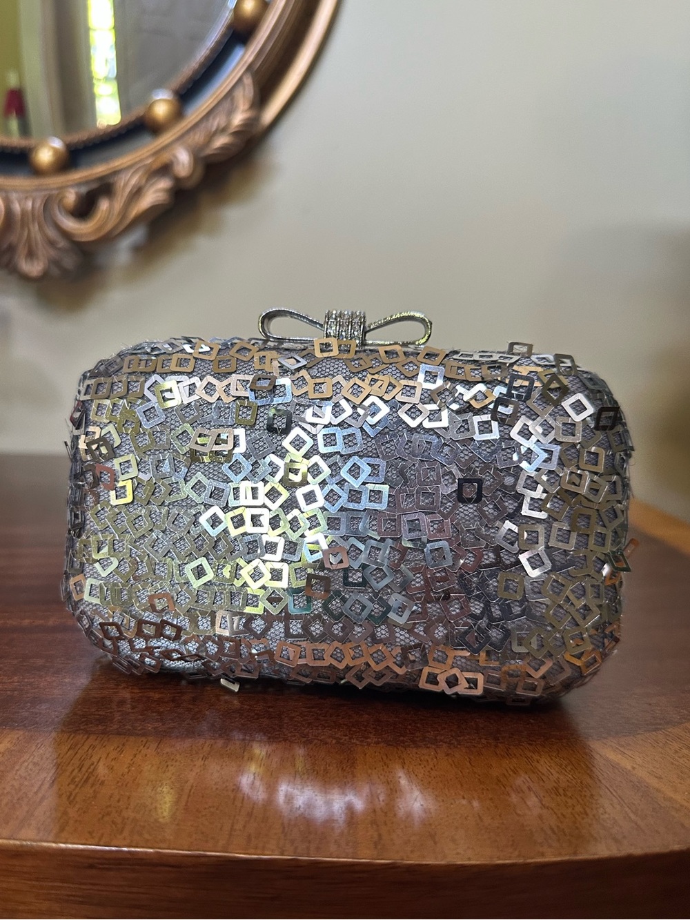 Sequin Clutch Purse